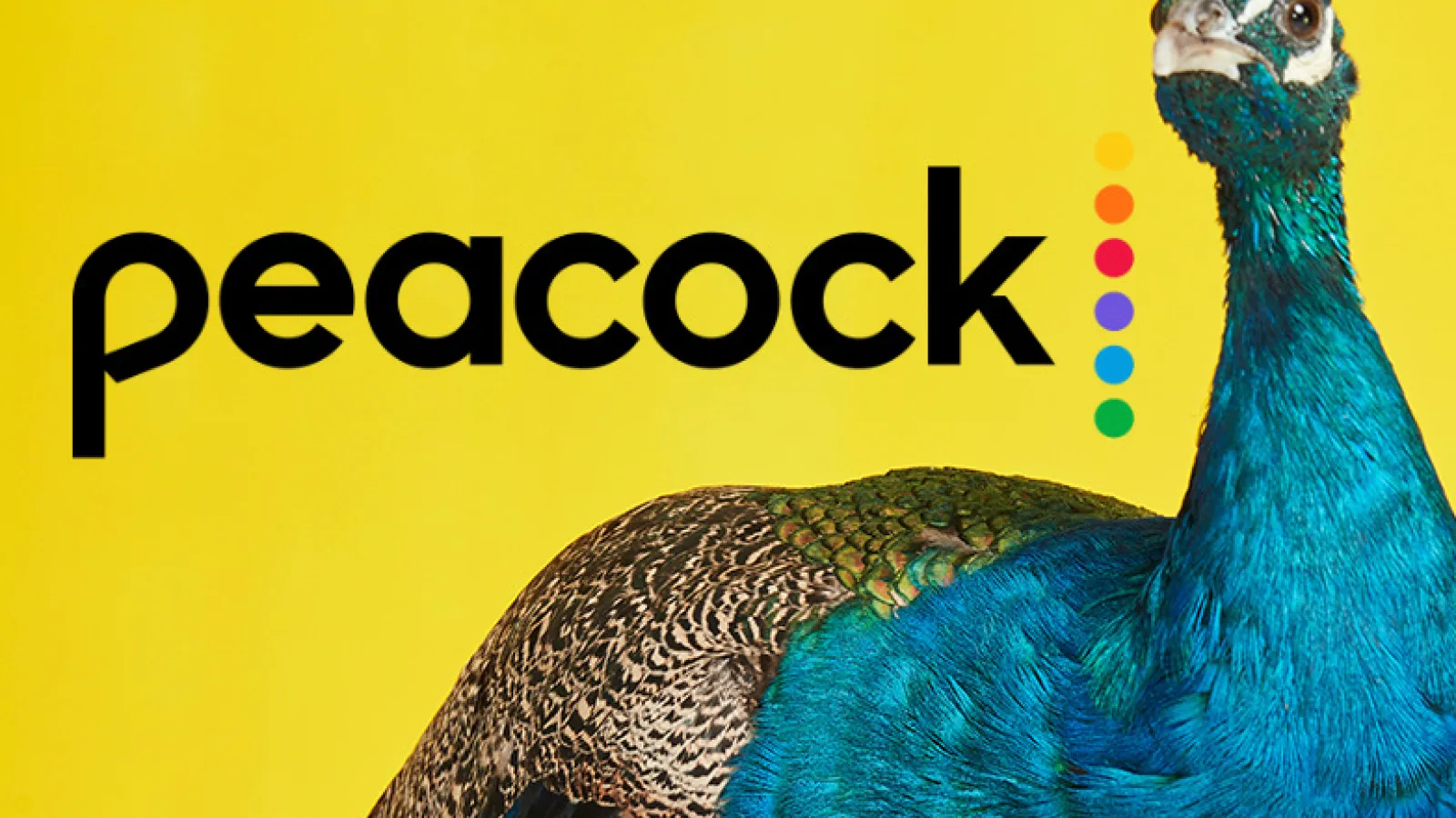 Peacock logo
