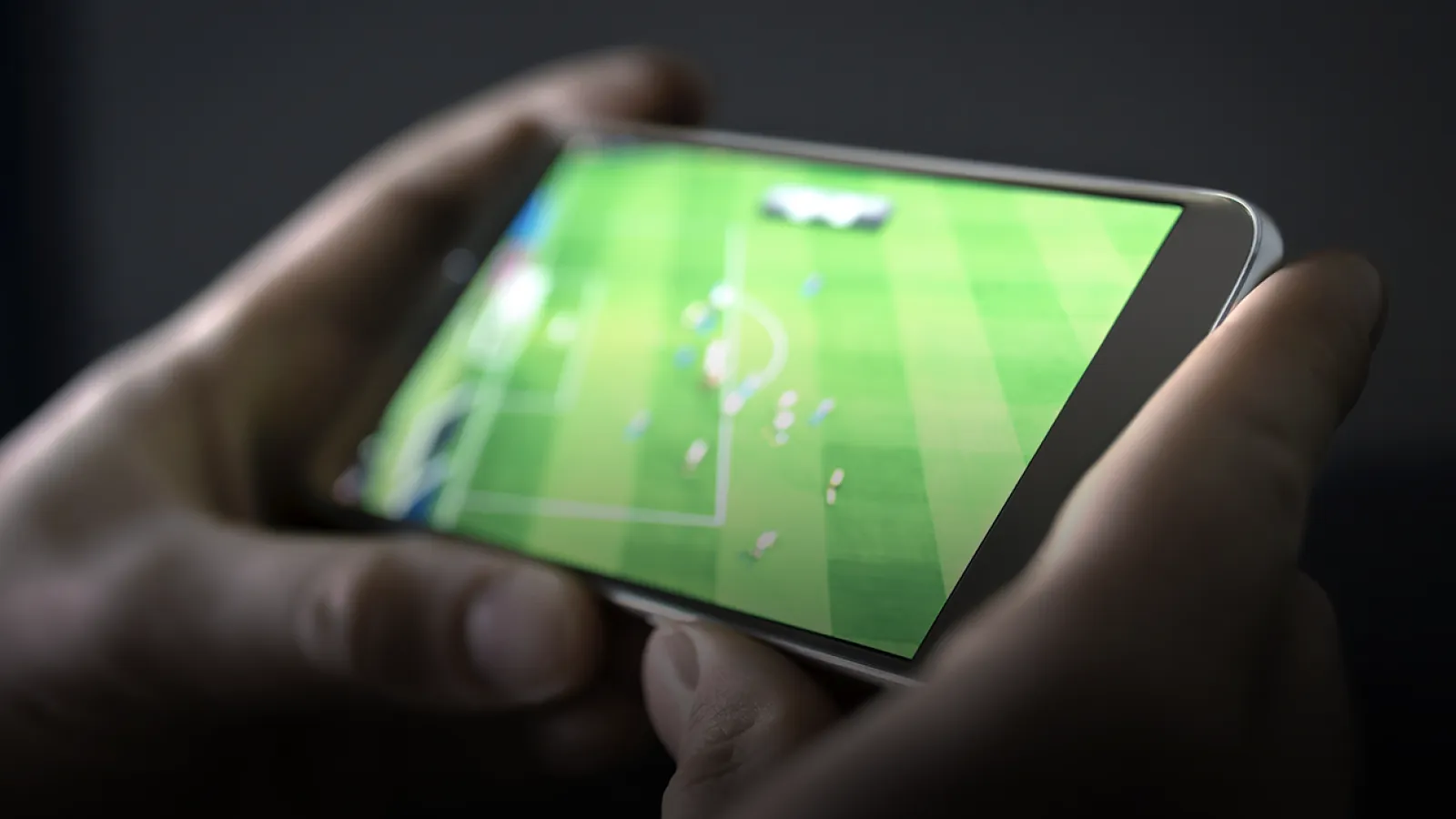 Sports Viewing