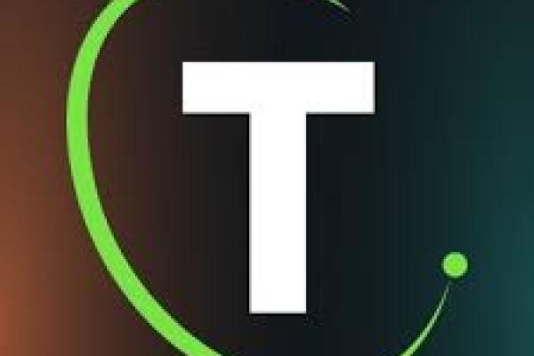 TeamWork Online Logo